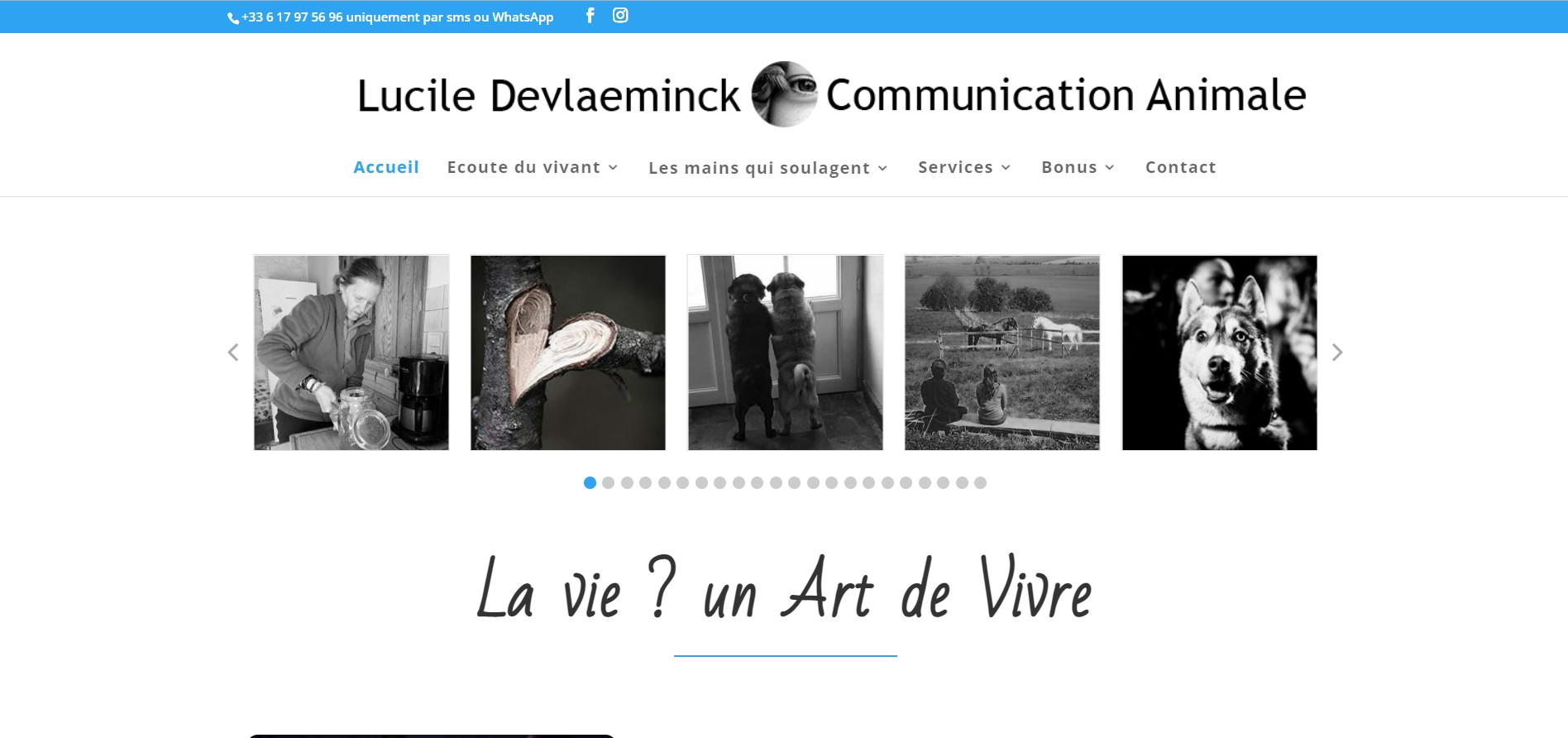 LUCILE DEVLAEMINCK - ARTS TEC - La technologie au service des arts